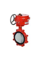 Bray Valve